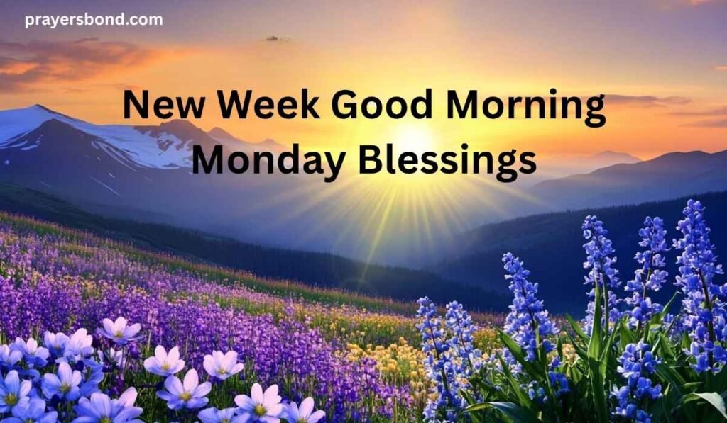 New Week Good Morning Monday Blessings