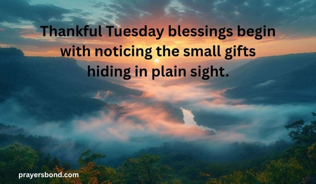 Thankful Good Morning Tuesday Blessings