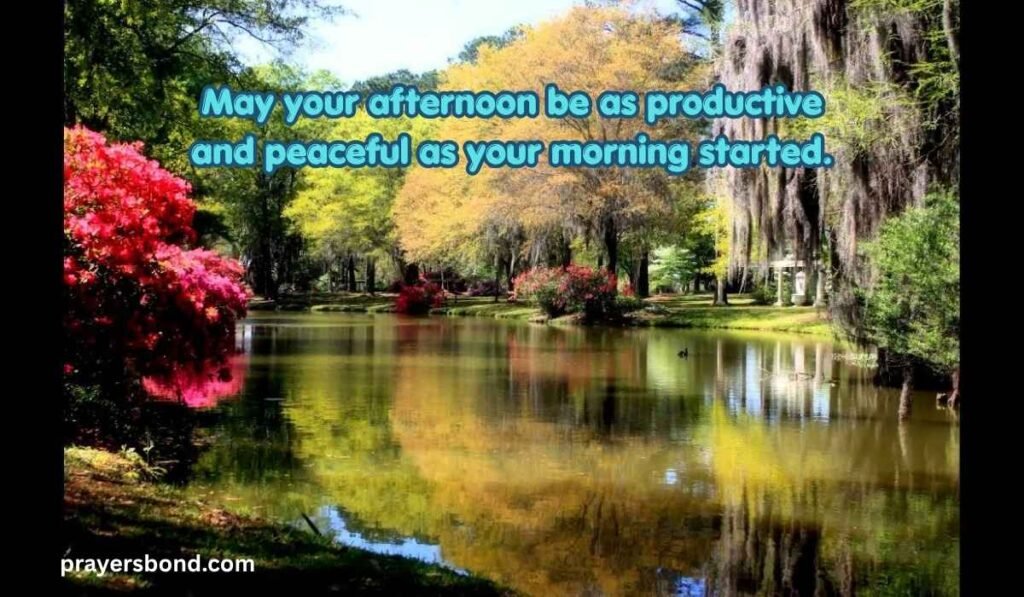 Tuesday Afternoon Blessings