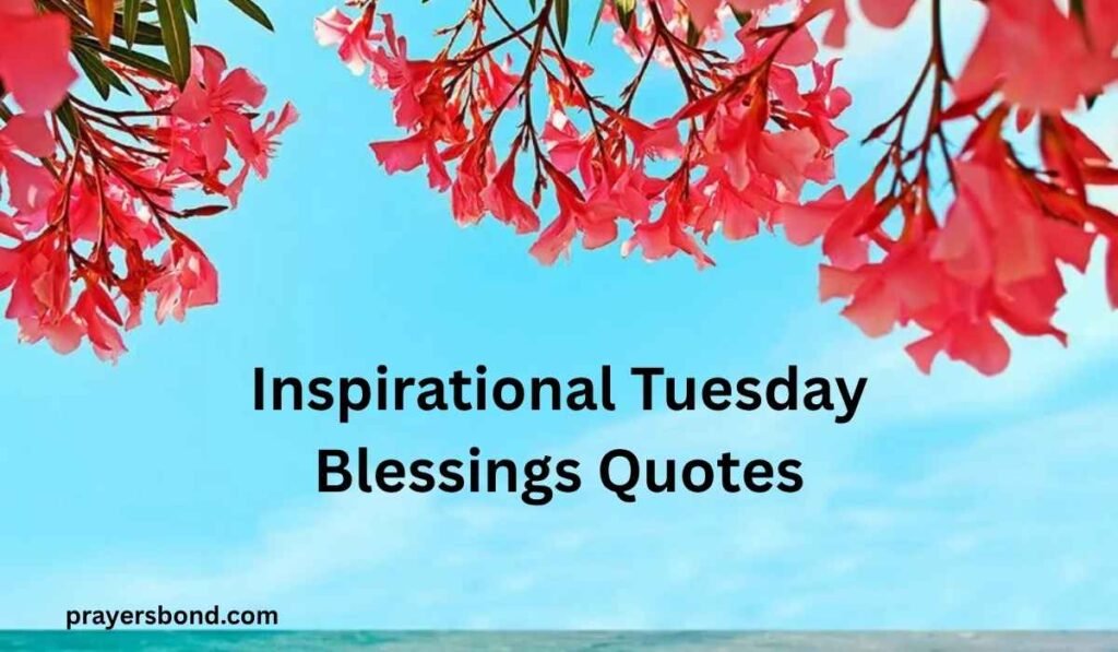 Inspirational Tuesday Blessings Quotes